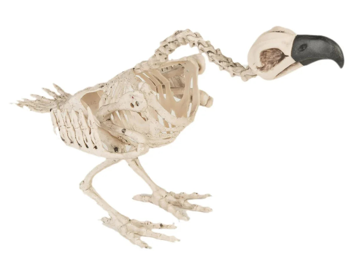 Esqueleto de Buitre para Decoración de Halloween Esqueletos Viving