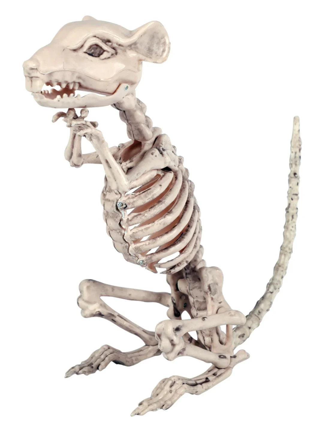 Esqueleto de Rata Grande para Decoración de Halloween Decoración Halloween EuroCarnavales