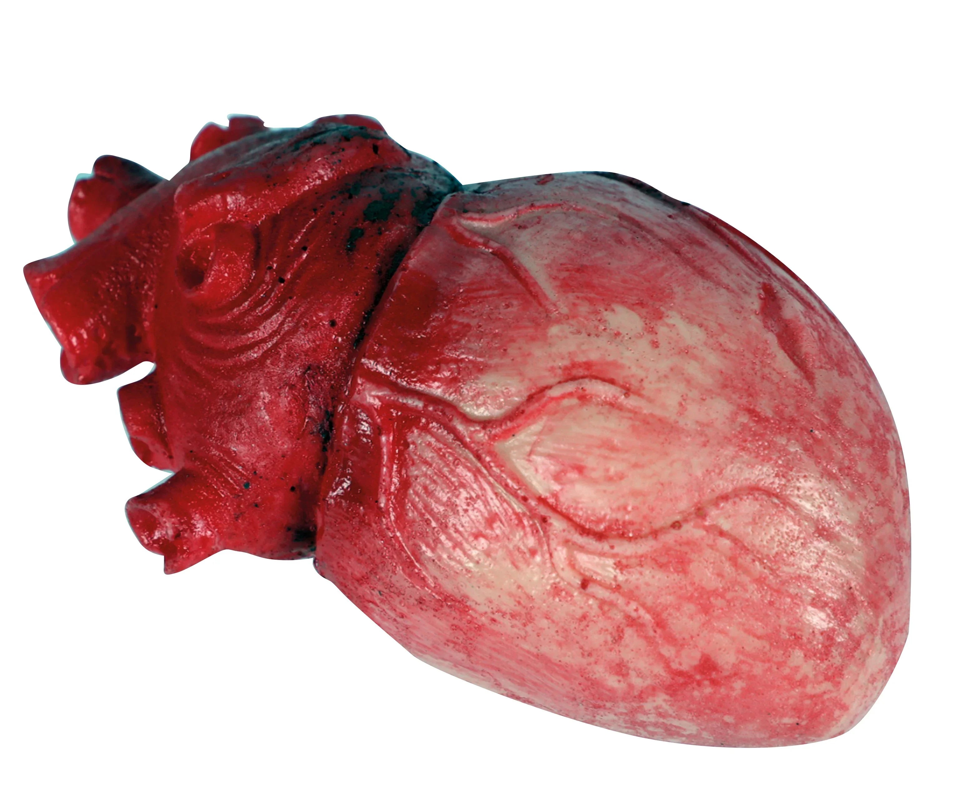 Corazón Sangriento de Látex Decoración Halloween EuroCarnavales