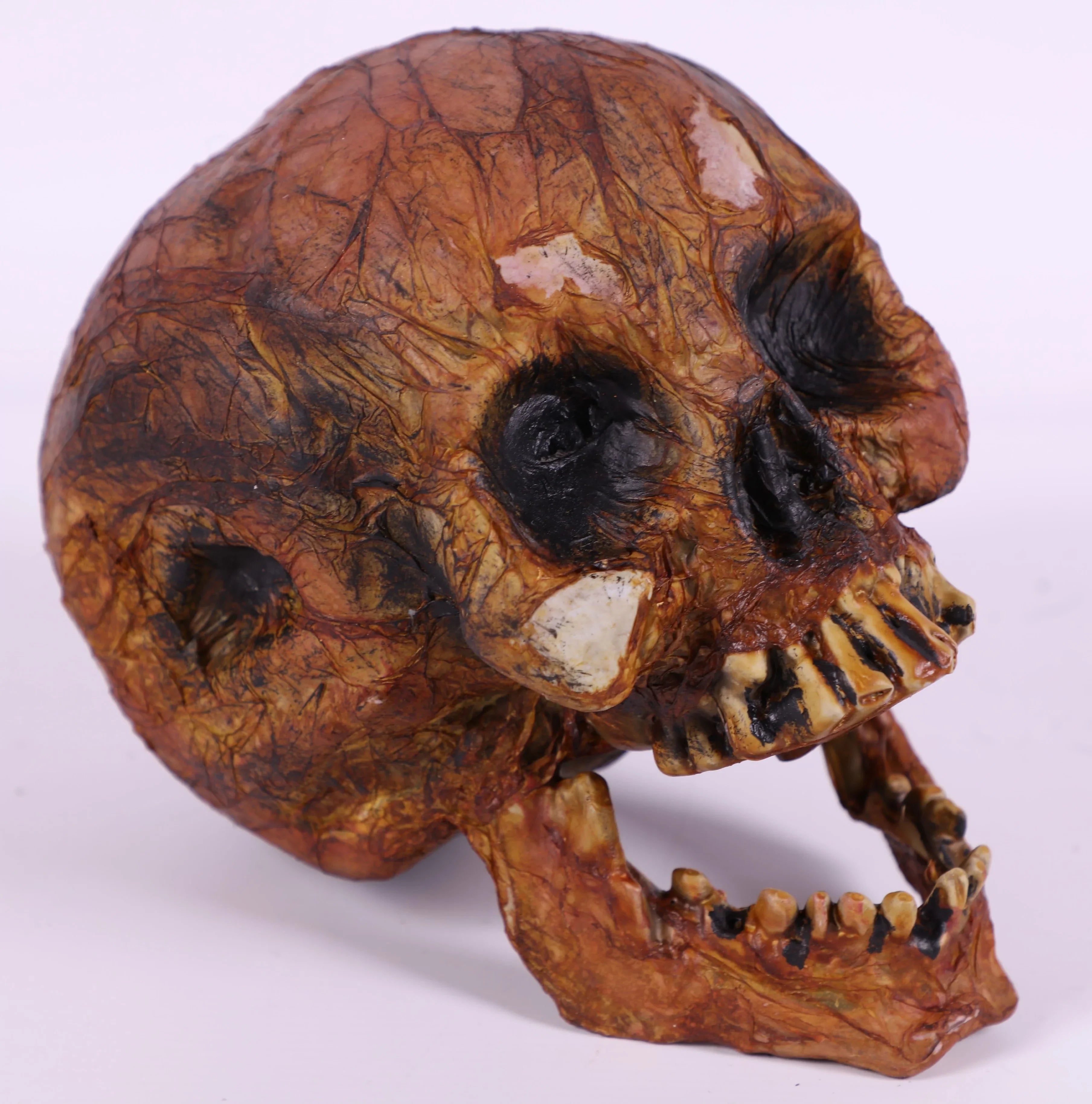 Calavera Envejecida Realista Decoración Halloween EuroCarnavales