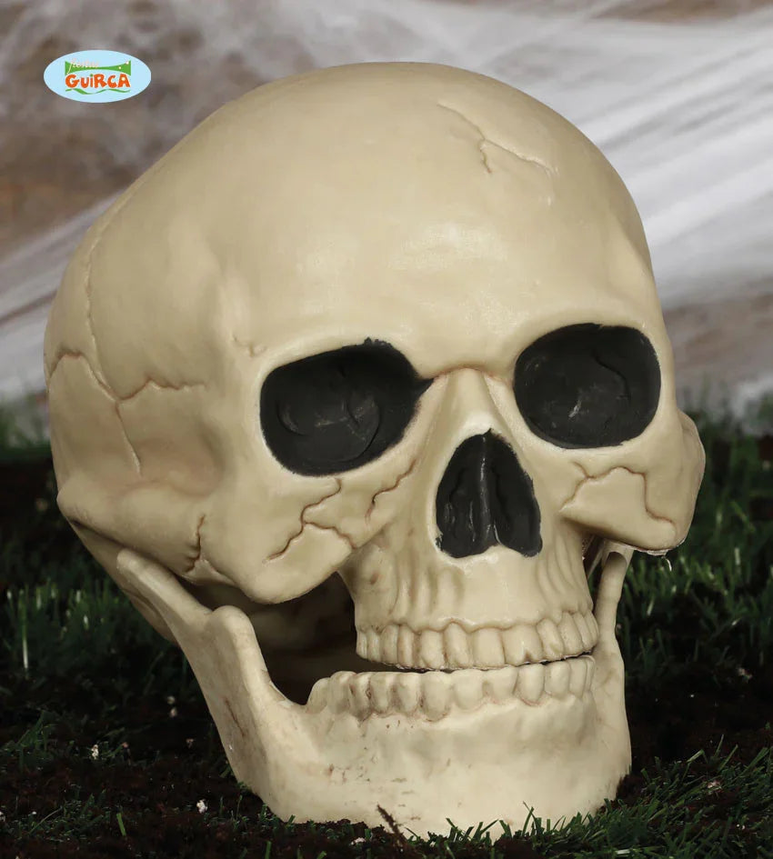 Calavera Decorativa 20cms Esqueletos Guirca