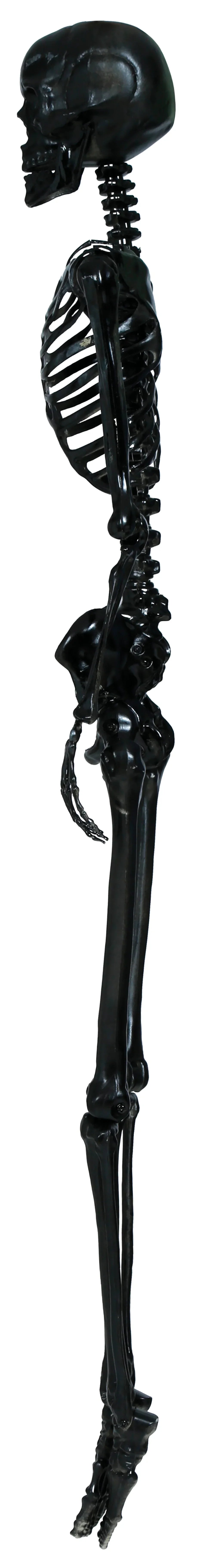 Esqueleto Negro para Decoración de 160cm Esqueletos Guirca