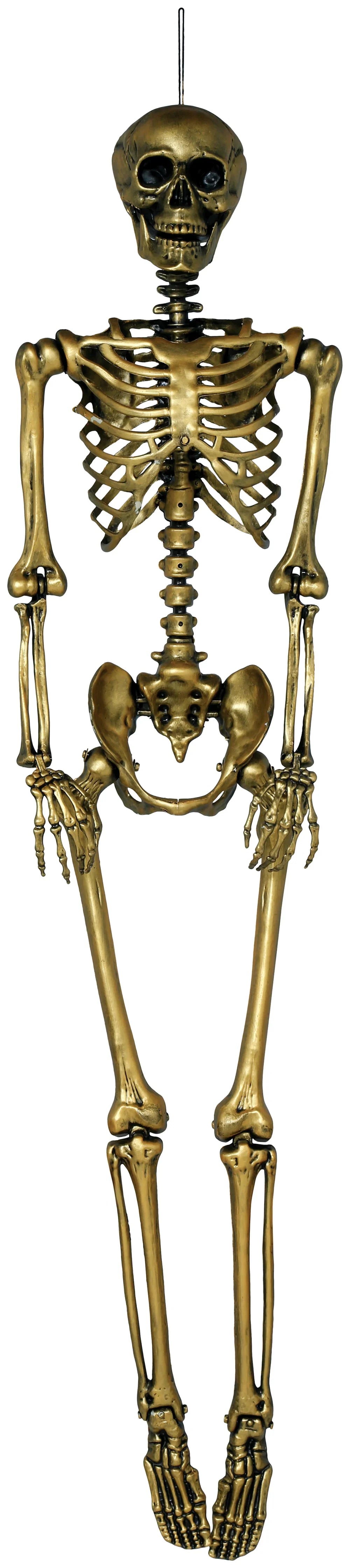 Esqueleto Dorado para Decoración de 160cm Esqueletos Guirca