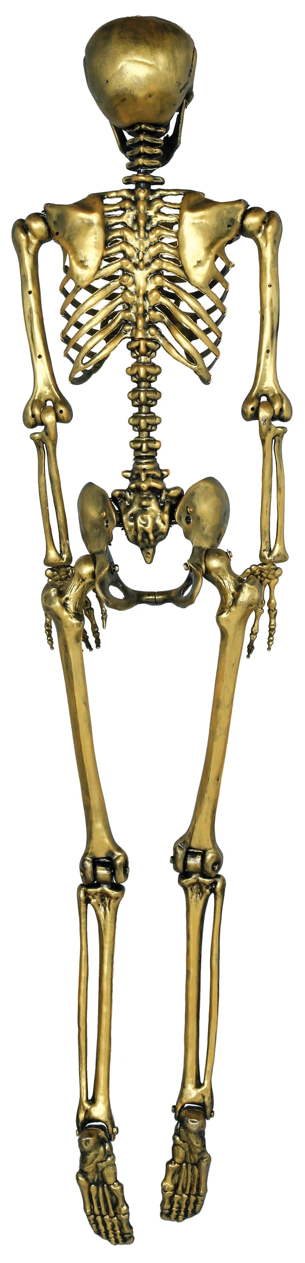 Esqueleto Dorado para Decoración de 160cm Esqueletos Guirca