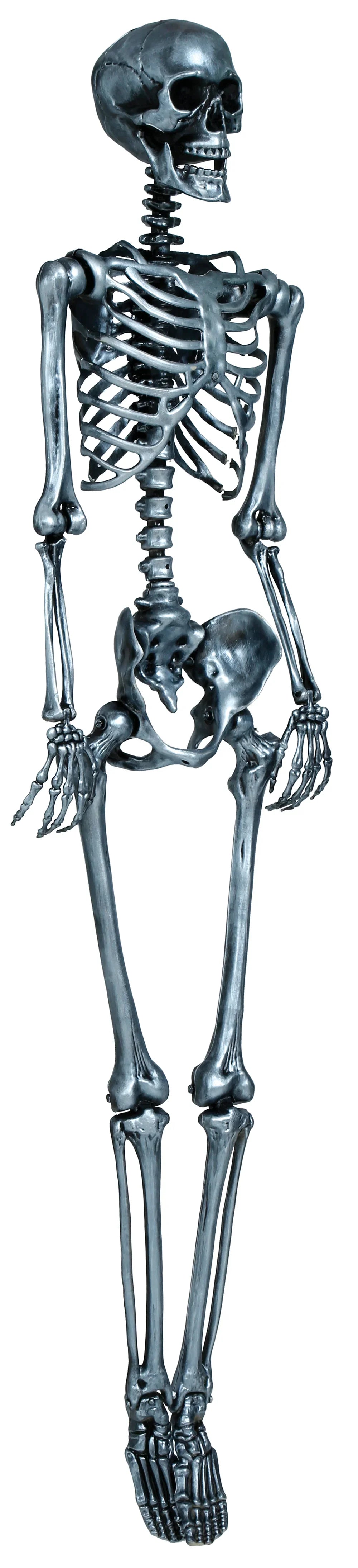 Esqueleto Plateado para Decoración de 160cm Esqueletos Guirca