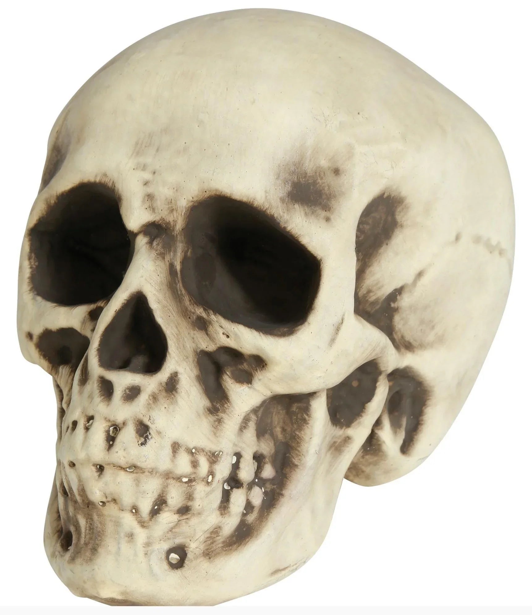 Calavera para Decoración de 20cm Calaveras Guirca