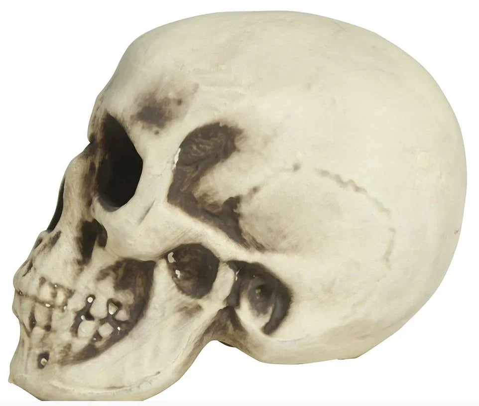 Calavera para Decoración de 20cm Calaveras Guirca