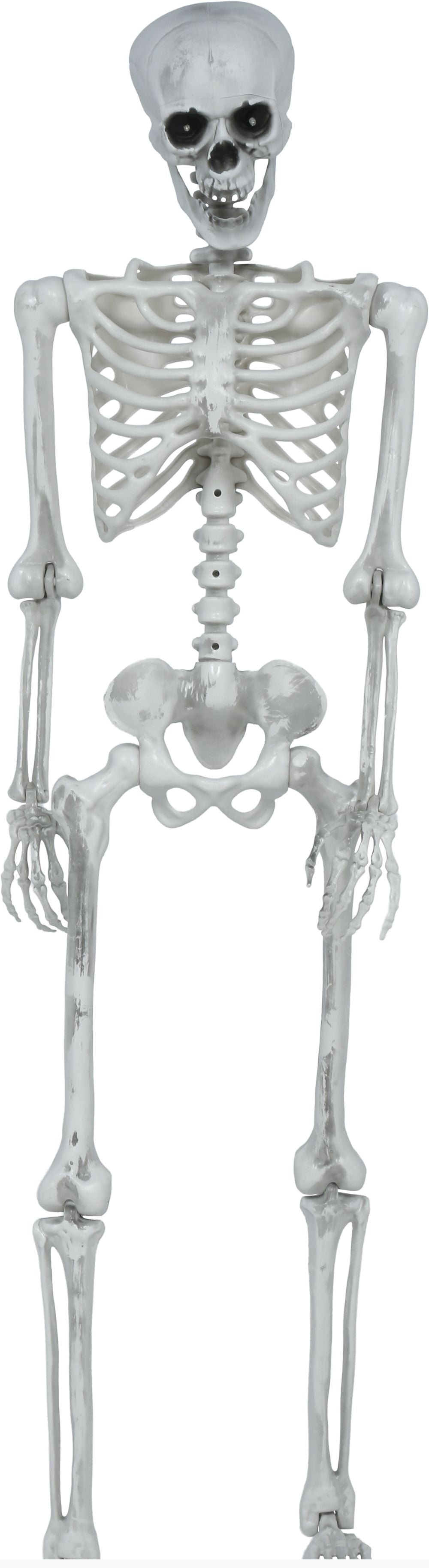 Scheletro Decorativo Articolato di 145cm