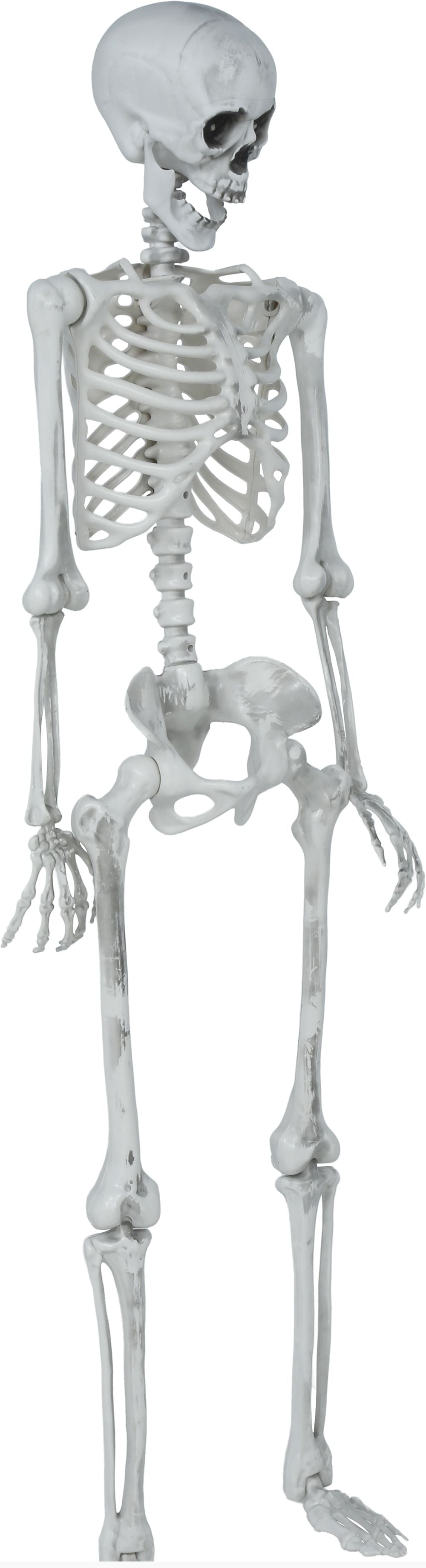 Scheletro Decorativo Articolato di 145cm