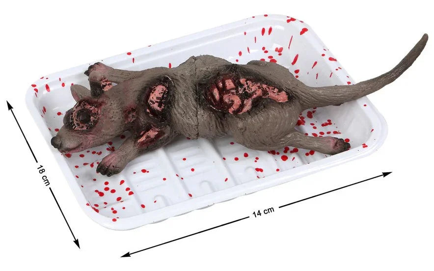 Rata Muerta Envasada para Decoración de Halloween Figuras Decorativas Atosa