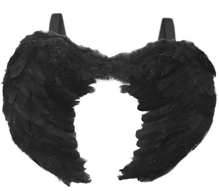Alas Grandes con Plumas Negras Alas Partilandia