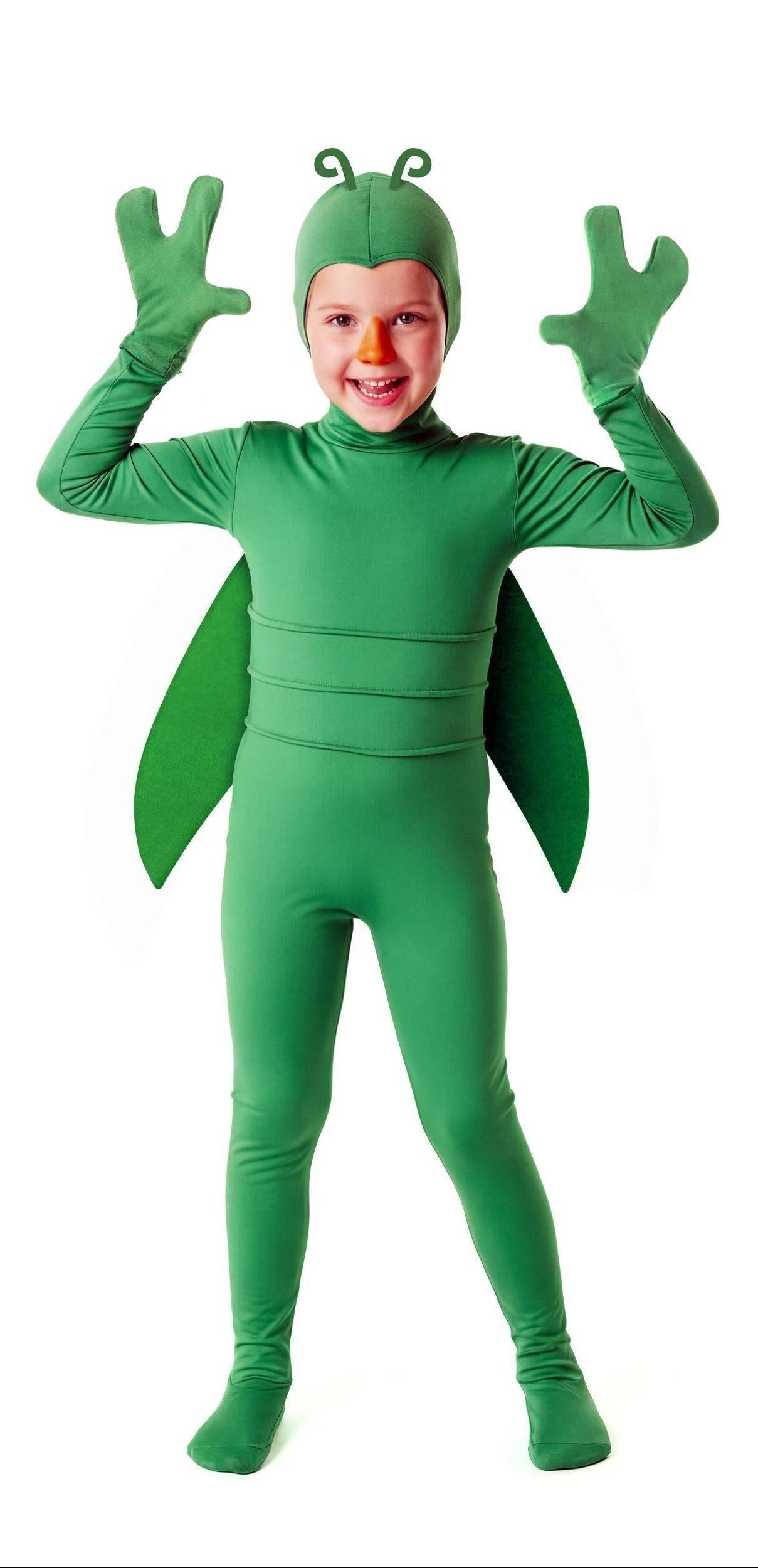 Costume Cavalletta Verde per Bambino